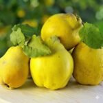 Златна ДЮЛЯ - 1 кг.